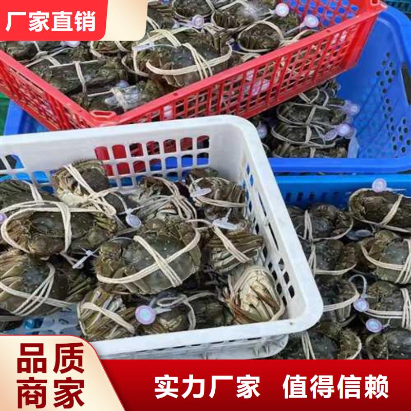 阳澄湖大闸蟹团购