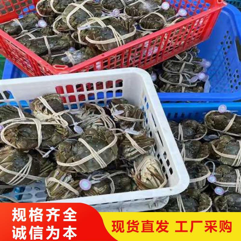阳澄湖大闸蟹实体大厂