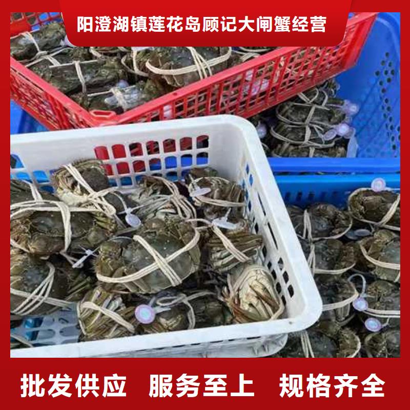 鲜活螃蟹精装礼品盒