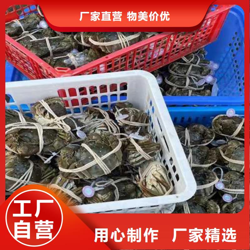 阳澄湖大闸蟹批量采购