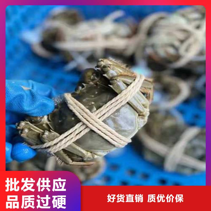 有现货的大闸蟹礼盒基地