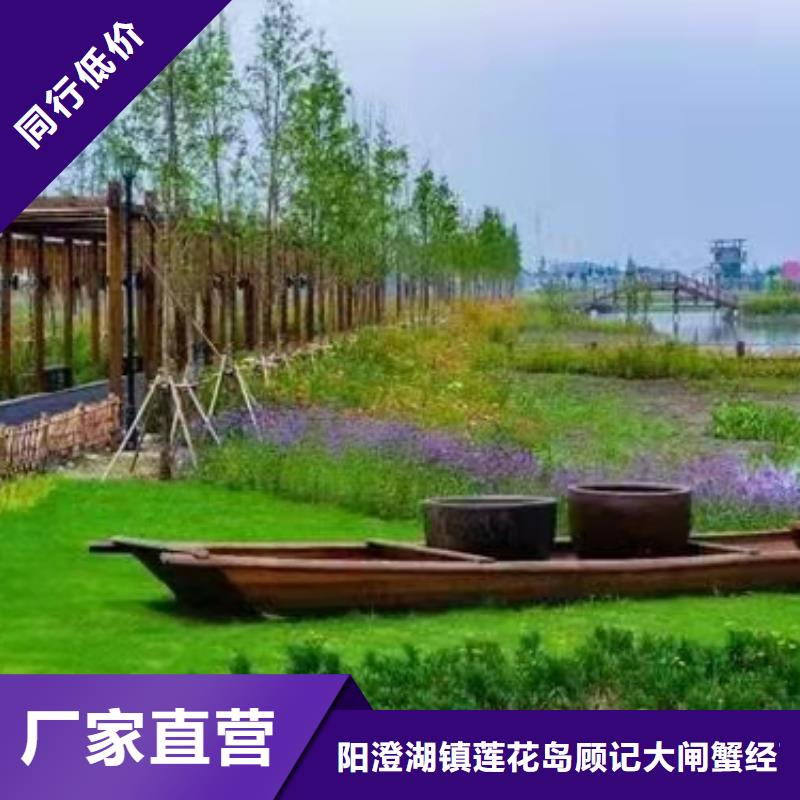 今天的螃蟹去哪里买
