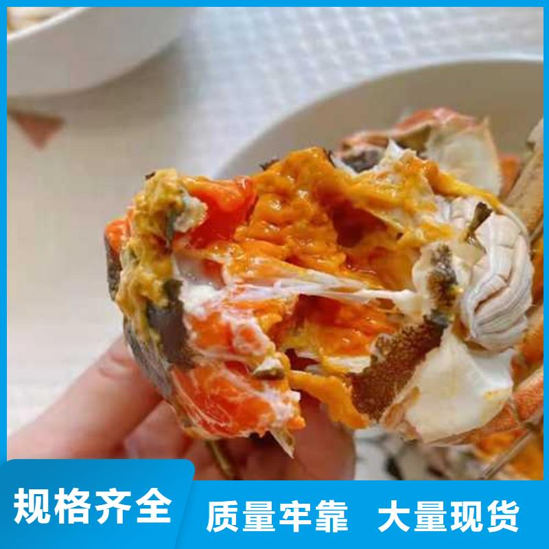 质量优的超大闸蟹供货商