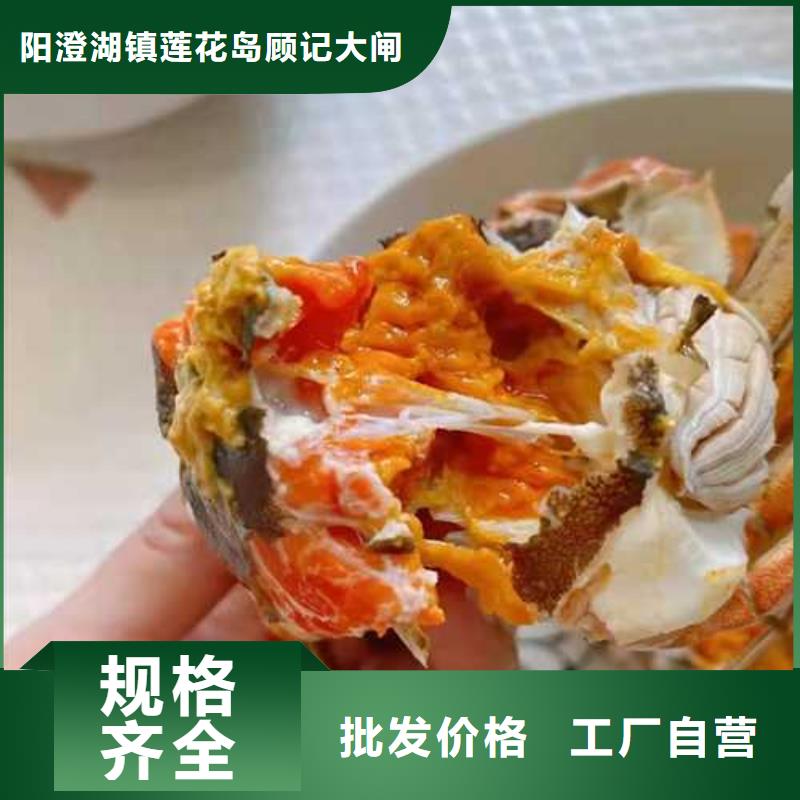 阳澄湖大闸蟹-接受定制