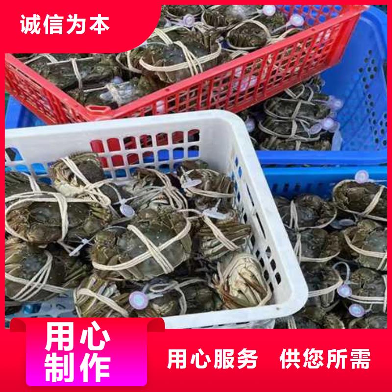 阳澄湖大闸蟹