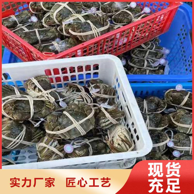 哪里卖阳澄湖大闸蟹