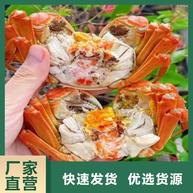 正宗阳澄湖大闸蟹哪里卖