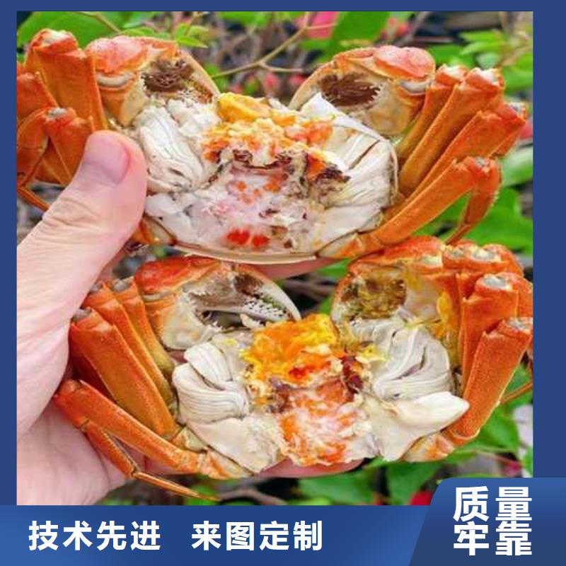 冷水滩阳澄湖大闸蟹匠心打造