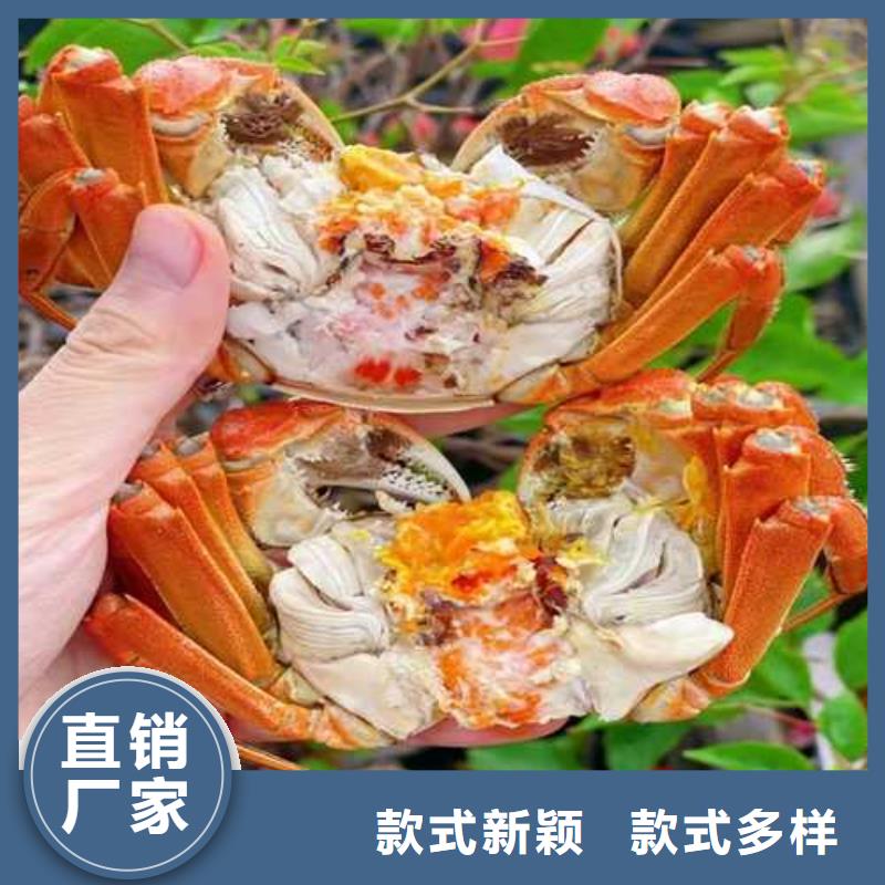大闸蟹公司介绍