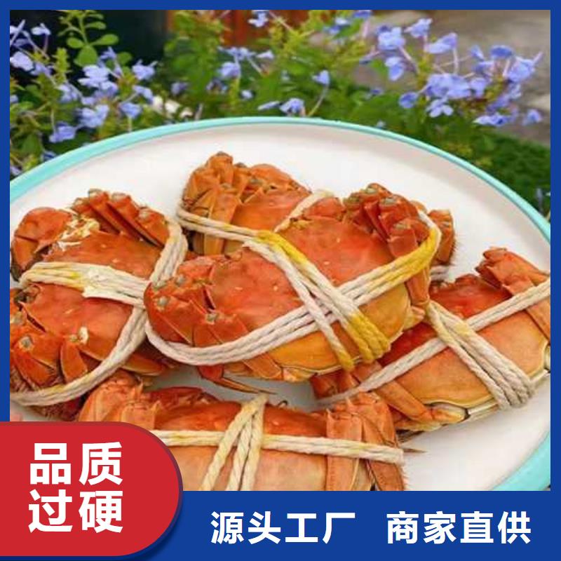 阳澄湖大闸蟹专卖店