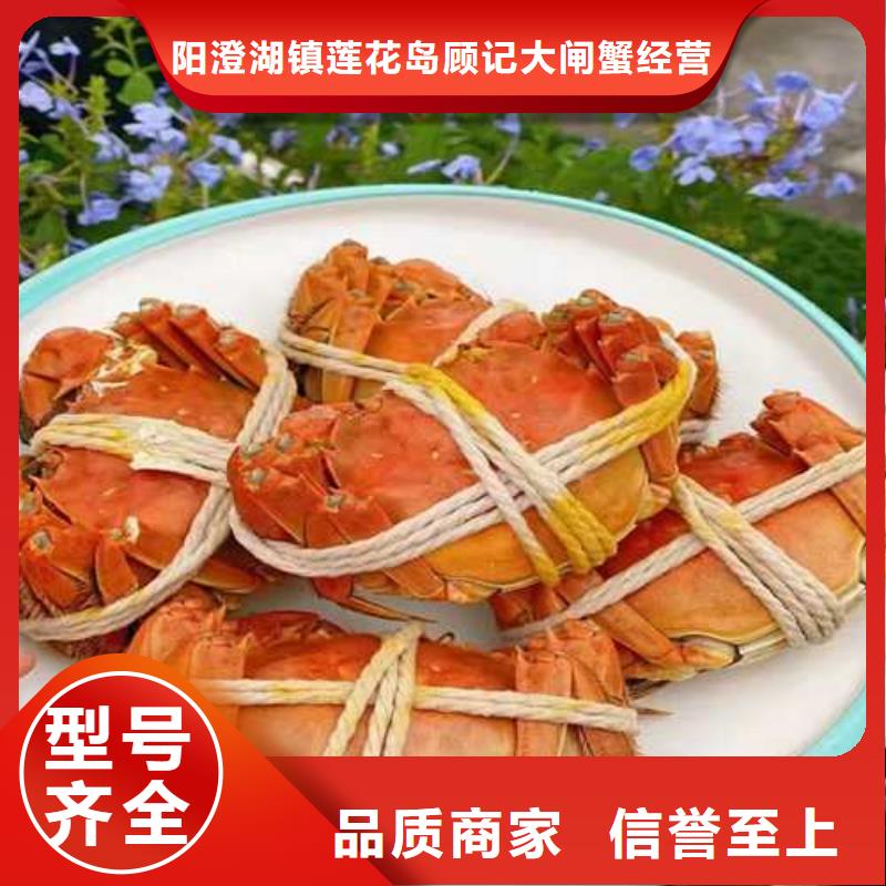 全母大闸蟹去哪里买