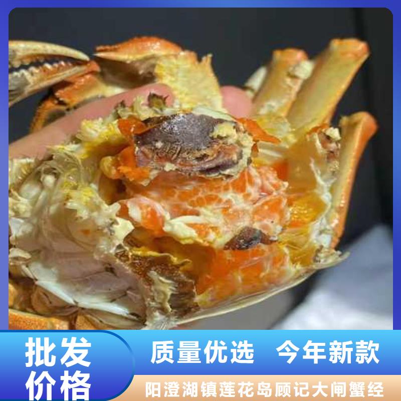 大螃蟹批发商