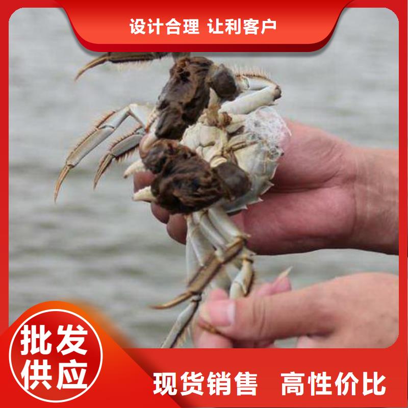 大闸蟹优选厂家