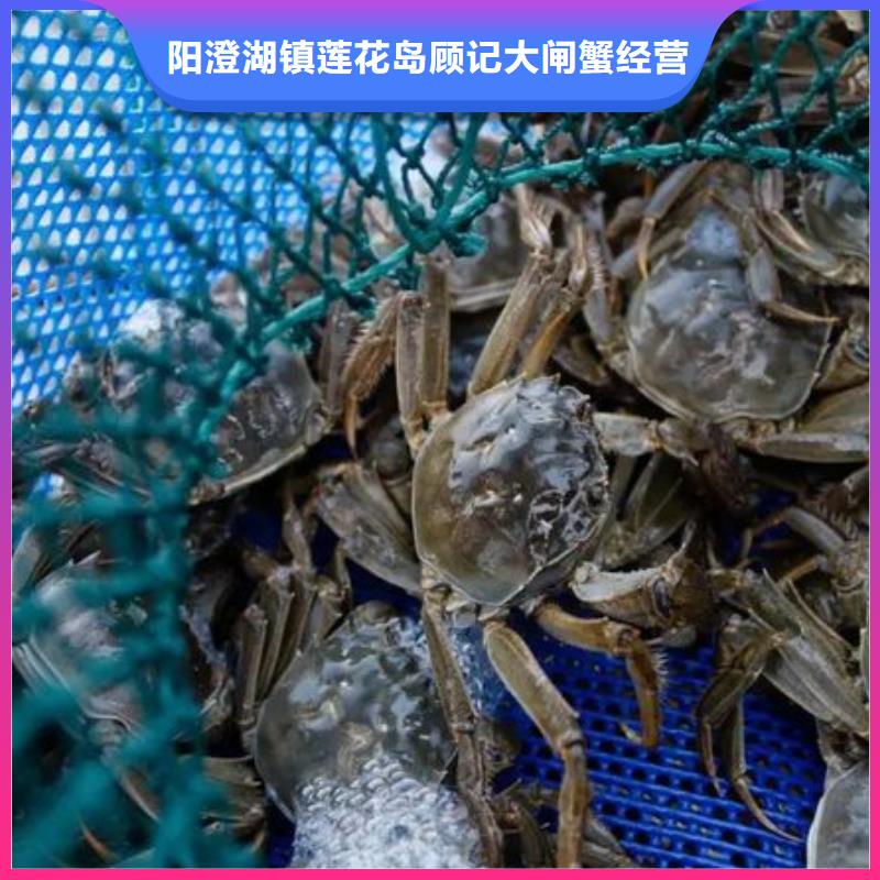 阳澄湖大闸蟹专卖