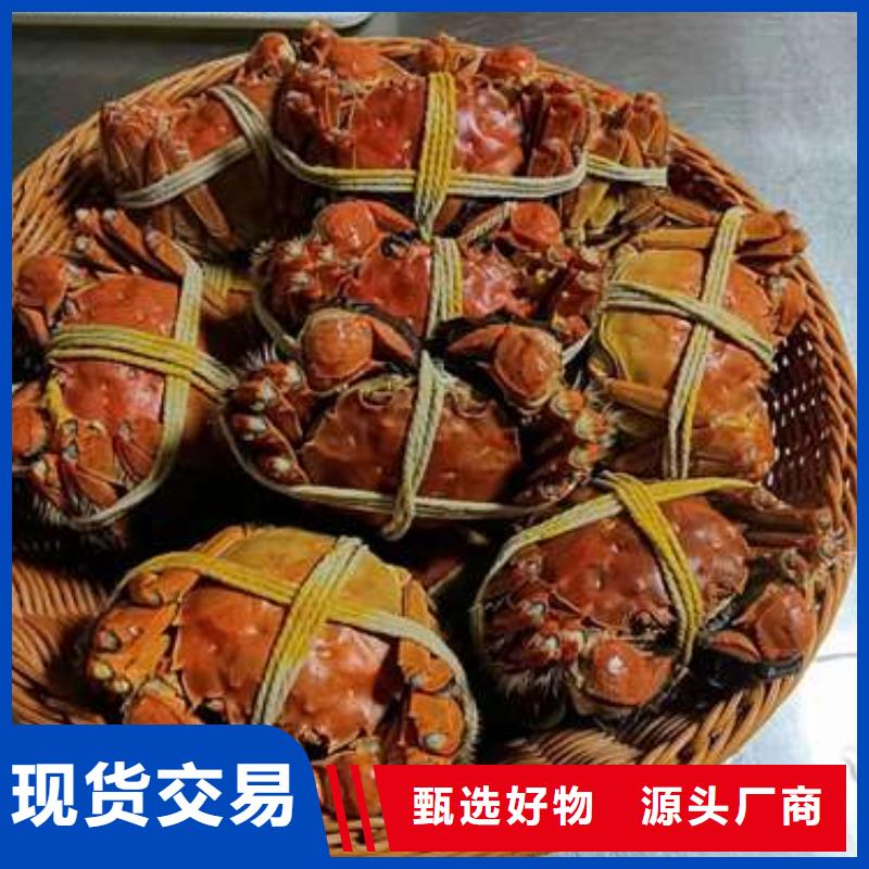 阳澄湖大闸蟹施工方案
