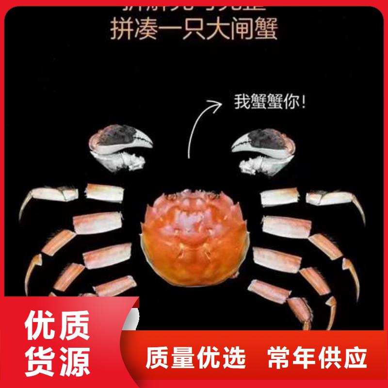口碑好阳澄湖大闸蟹厂家