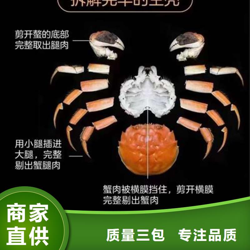 中山市阳澄湖大闸蟹的价格