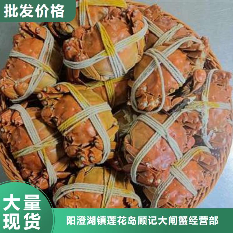 阳澄湖大闸蟹-阳澄湖大闸蟹出货快