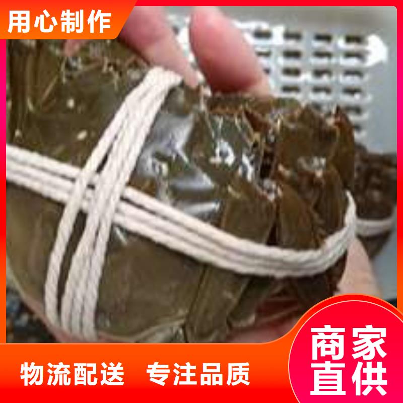 价格合理的阳澄湖大闸蟹经销商