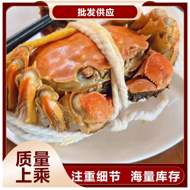 阳澄湖大闸蟹源头厂家