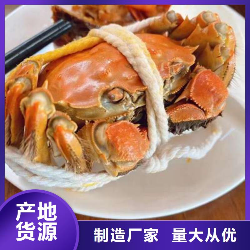 口碑好阳澄湖大闸蟹厂家