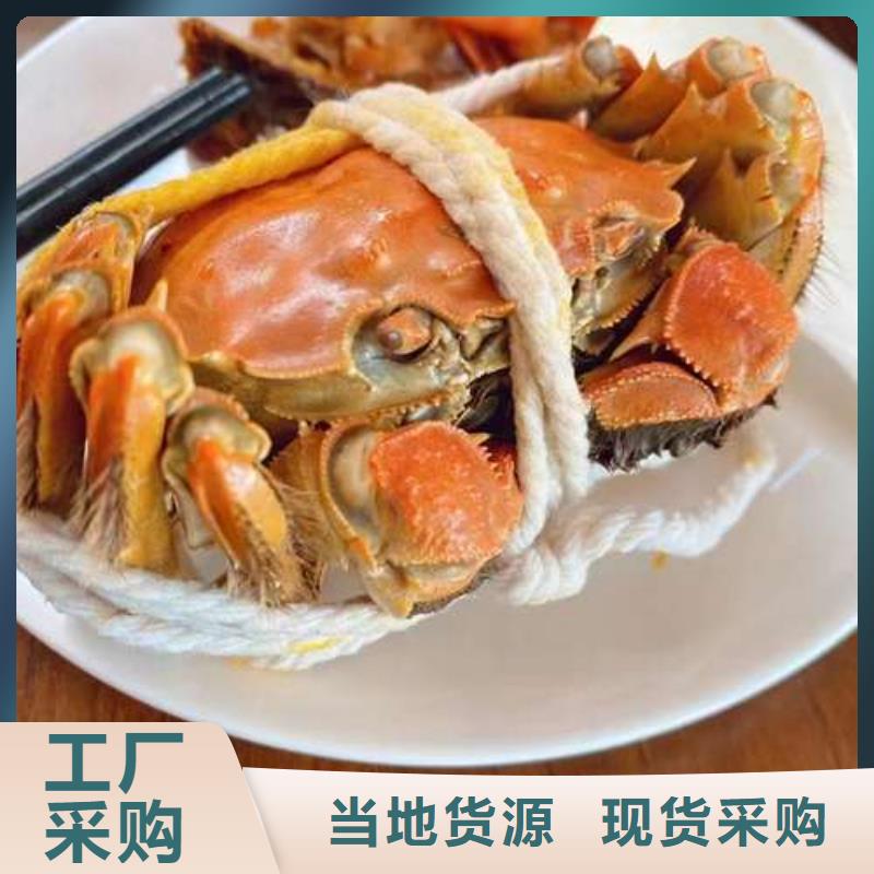 潮州市精品大闸蟹价格多少钱一只