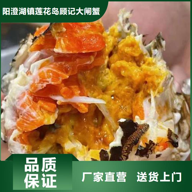 阳澄湖大闸蟹施工方案