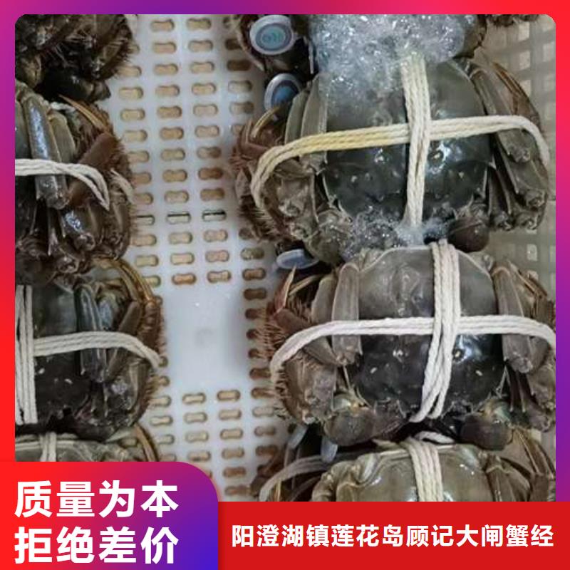 阳澄湖大闸蟹大品牌有保证