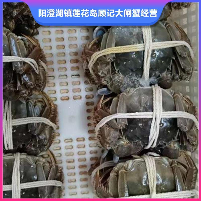 常年供应阳澄湖大闸蟹-好评