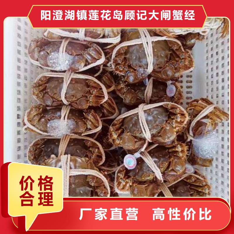 阳澄湖大闸蟹更多详情点击