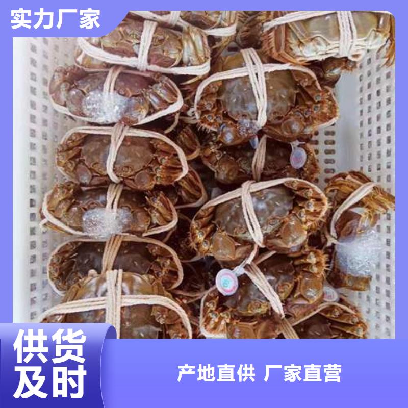 阳澄湖大闸蟹本地批发