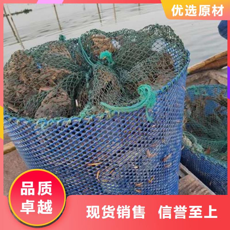 阳澄湖大闸蟹-送货上门
