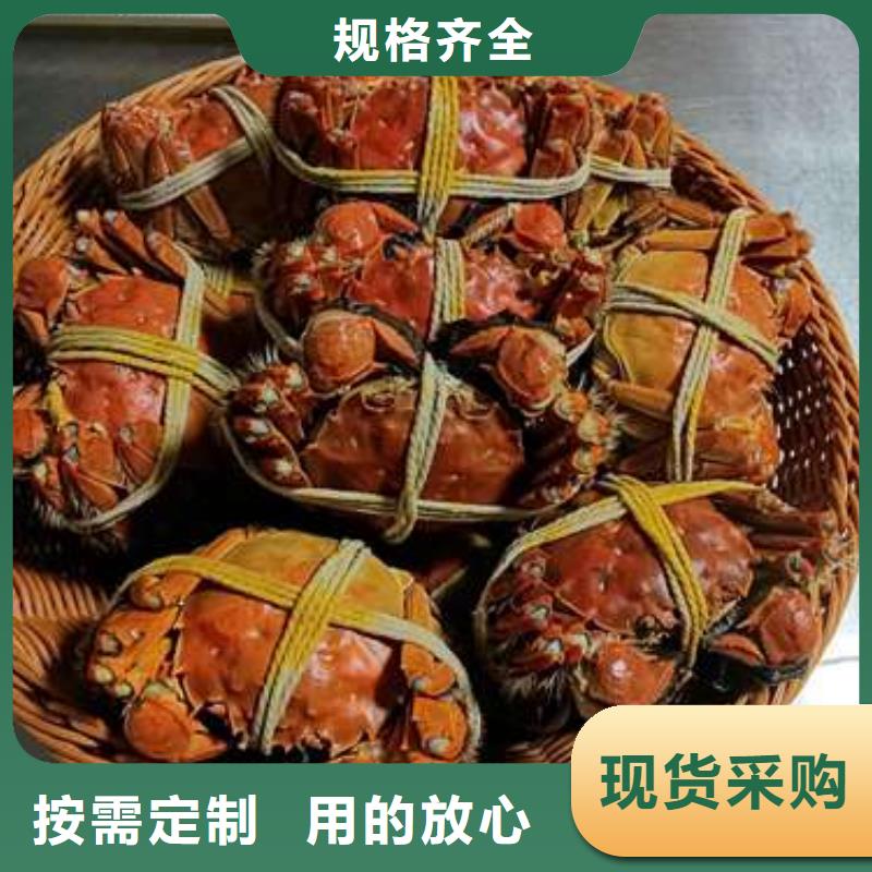 阳澄湖大闸蟹厂家质优价廉