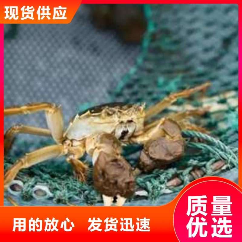 阳澄湖大闸蟹更多详情点击