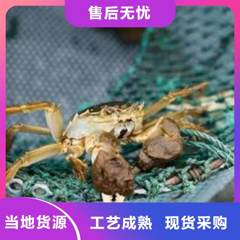 口碑好阳澄湖大闸蟹厂家