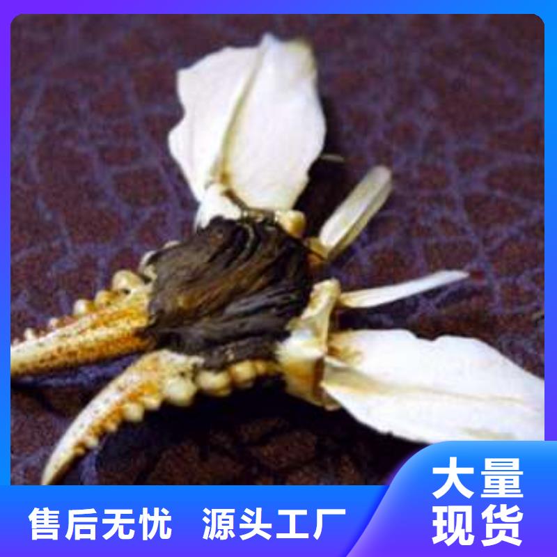 价格合理的阳澄湖大闸蟹经销商