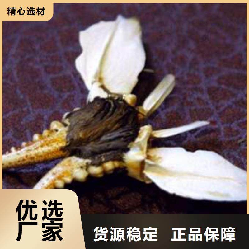 阳澄湖大闸蟹质量优质的厂家
