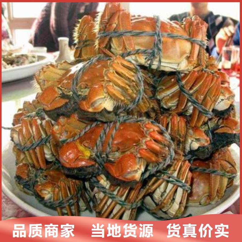 阳澄湖大闸蟹生产定制
