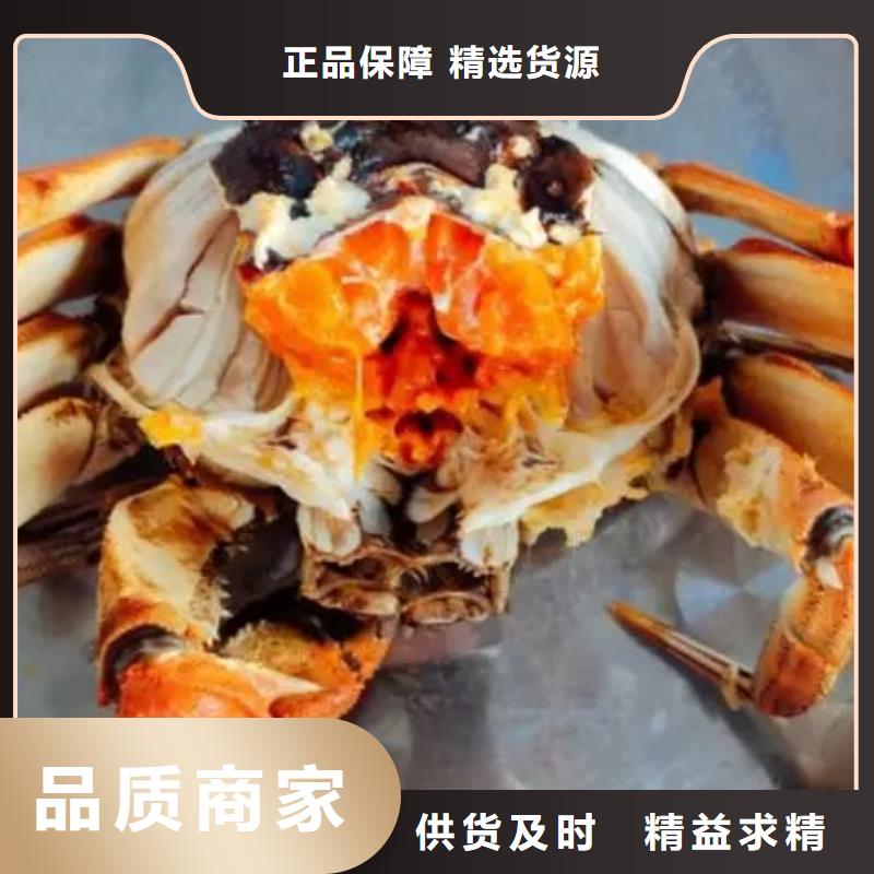 东莞市鲜活阳澄湖螃蟹现货