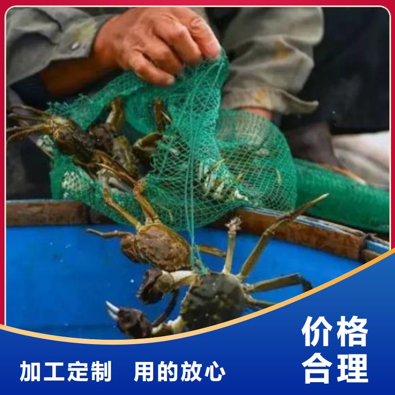 阳澄湖大闸蟹厂家直销-价格实惠