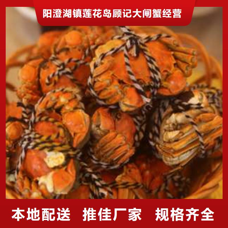 【优选】阳澄湖大闸蟹源头厂家