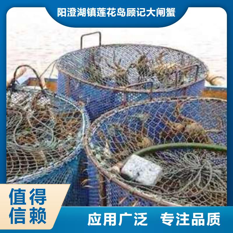 阳澄湖大闸蟹行业动态