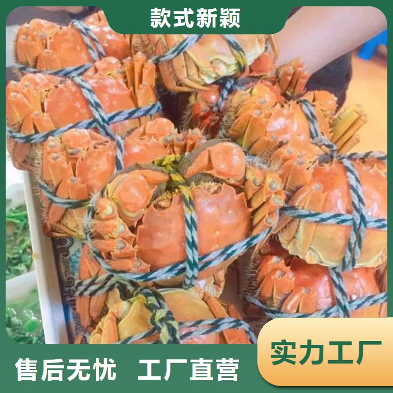 阳澄湖大闸蟹有优惠