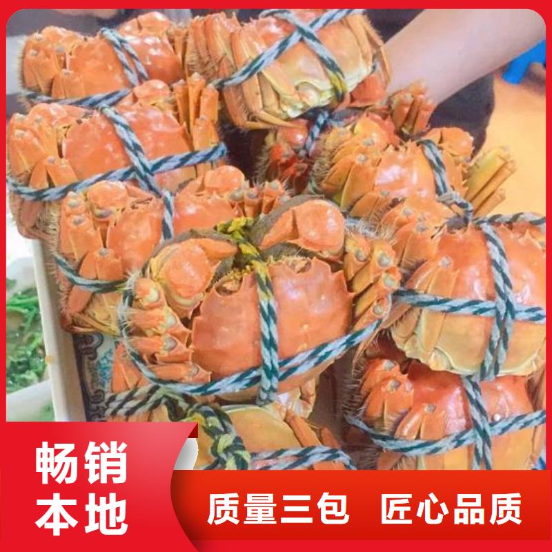 销售阳澄湖大闸蟹的本地厂家