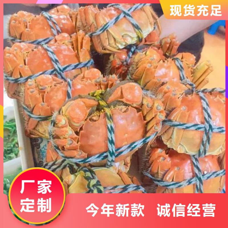 阳澄湖大闸蟹价格实惠
