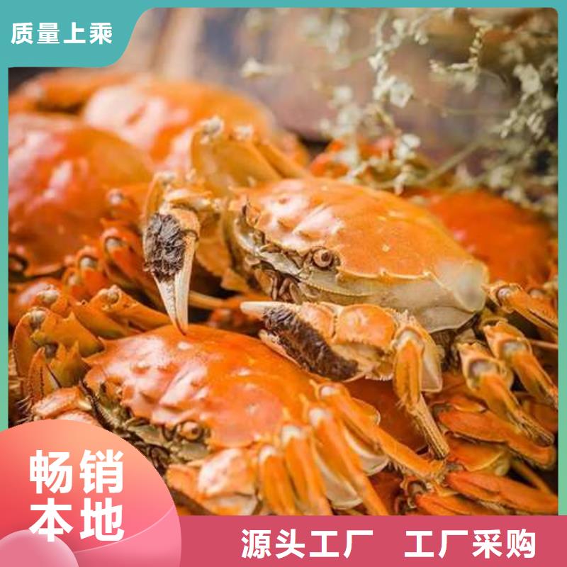 中山市阳澄湖大闸蟹的价格