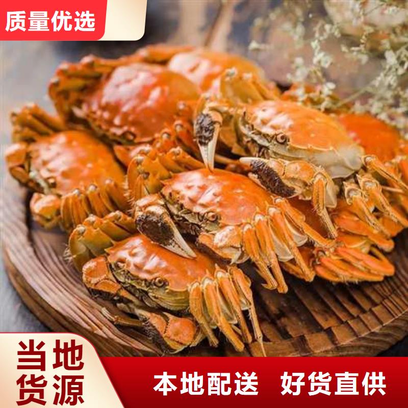 阳澄湖大闸蟹厂家直销-型号齐全