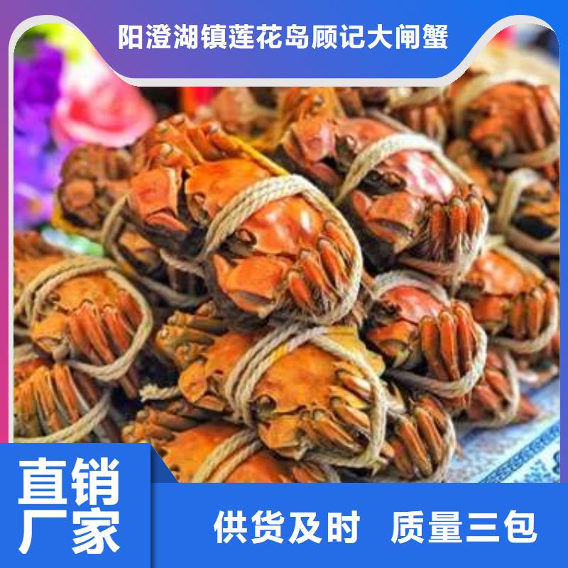 佛山市红膏大闸蟹去哪里买