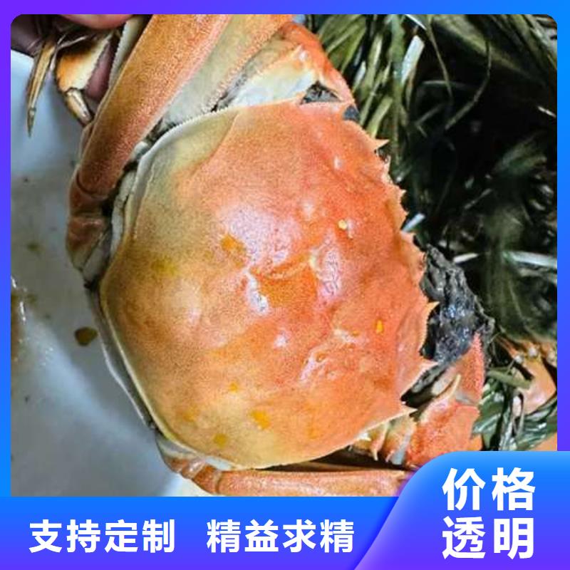 阳澄湖大闸蟹厂家直销-型号齐全