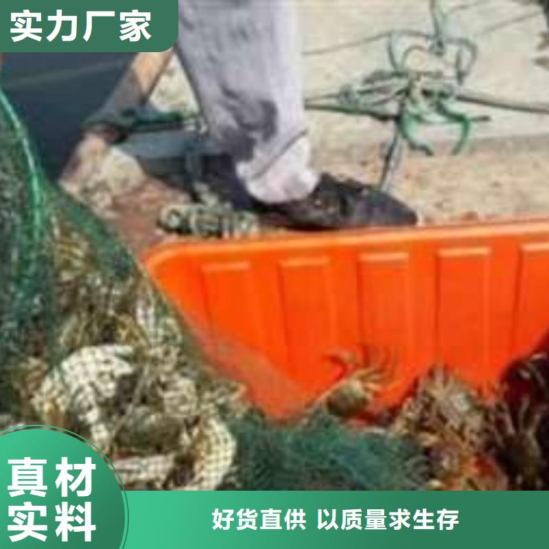 阳澄湖大闸蟹-送货上门